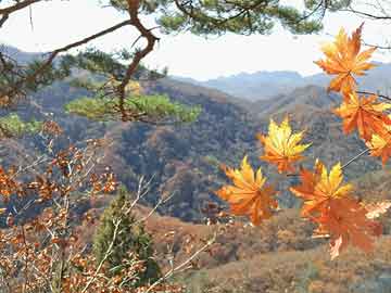 打胎药在线购买zhi优南宁华夏吃打胎药流血少正常吗（吃打胎药流血少正常吗图片）